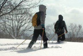 Snow Shoeing